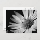 Zwart-witventilator Briefkaart (Voorkant / Achterkant)