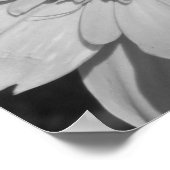 Zwart-witventilator Poster (Hoek)