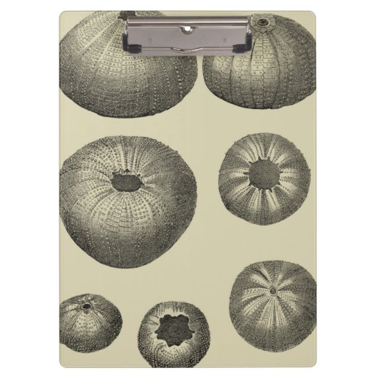 Zwart-witvis Klembord (Voorkant)