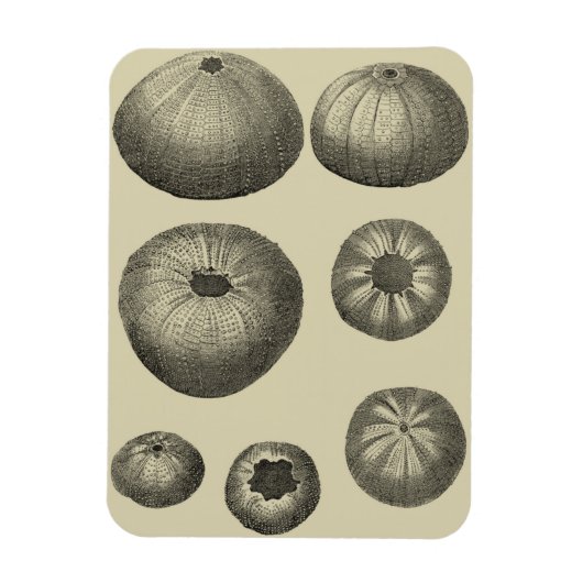 Zwart-witvis Magneet (Verticaal)