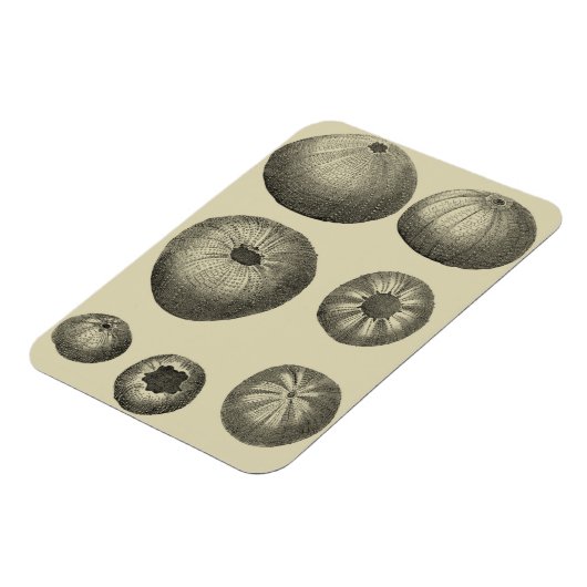 Zwart-witvis Magneet (Linkerzijde)