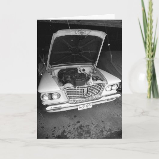 "Zwart-witwaliant met sneeuwvlokken" Goed gedaan Kaart (Voorkant)