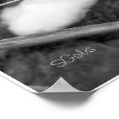 Zwart-witwasbeertje Kat Portret Poster (Hoek)