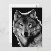 Zwart-witwerk met Wolf Briefkaart (Voorkant / Achterkant)