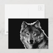 Zwart-witwerk met Wolf Briefkaart (Voorkant / Achterkant)