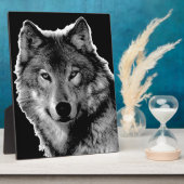 Zwart-witwerk met Wolf Fotoplaat (Zijkant)