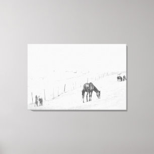 Zwart-witzwart-witlandelijke wilde paarden canvas afdruk