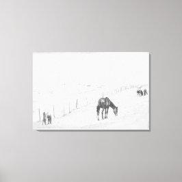 Zwart-witzwart-witlandelijke wilde paarden canvas afdruk