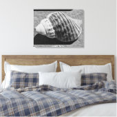 Zwart-witzwart Zee Ocean Shell Canvas Afdruk (Insitu (Slaapkamer))
