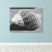 Zwart-witzwart Zee Ocean Shell Canvas Afdruk (Insitu (Houten vloer))