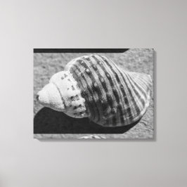 Zwart-witzwart Zee Ocean Shell Canvas Afdruk