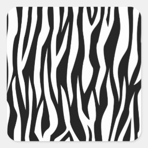 Zwart Zebra afdrukken Vierkante Sticker