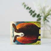 Zwartbellen Briefkaart (Staand voorkant)