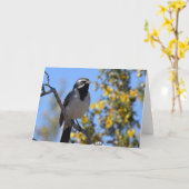 zwartbonte mus kaart (Gele Bloem)