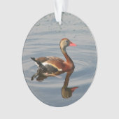 Zwartbuikspiering Ornament (voorkant)