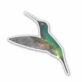 Zwartbuikvogel Sticker (Voorkant)