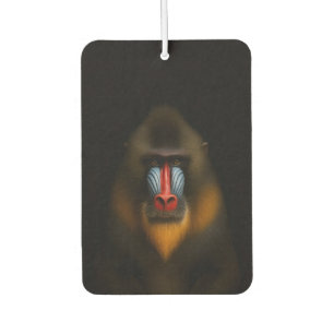 Zwarte 4 Luxe auto-airconditioners, Mandrill-aap Luchtverfrisser