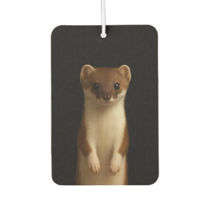 Zwarte 4 Luxe auto-airfresheners, Elegante Wezel Luchtverfrisser