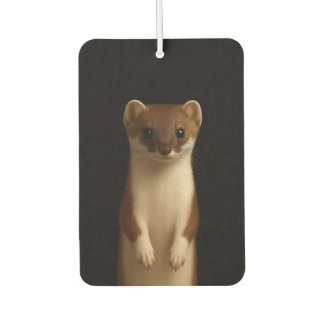 Zwarte 4 Luxe auto-airfresheners, Elegante Wezel Luchtverfrisser