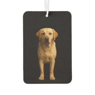 Zwarte 4 Luxe Auto Geurverfrissers Minimal Labrado Luchtverfrisser
