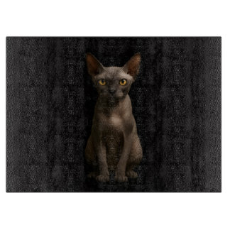 Zwarte 4 Luxe Glasplaat Sphynx Kat Snijplank