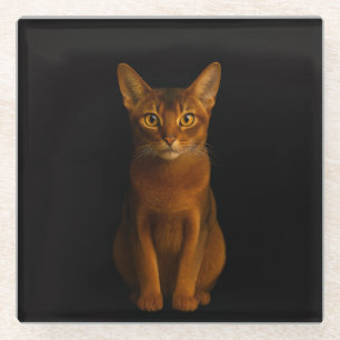 Zwarte 4 Luxe glazen onderzetter, Abyssinian Beaut Onderzetter