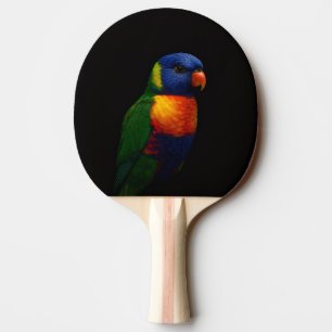 Zwarte 4 Luxe pingpongbat met Lorikeet papegaai Tafeltennisbatje