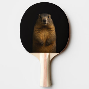 Zwarte 4 Luxe pingpongpaddle, Fluffy Marmot Tafeltennisbatje