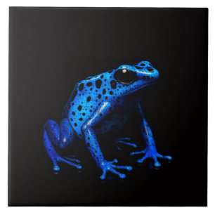 Zwarte 4 Luxe Tegel met Blue Electric Frog Tegeltje