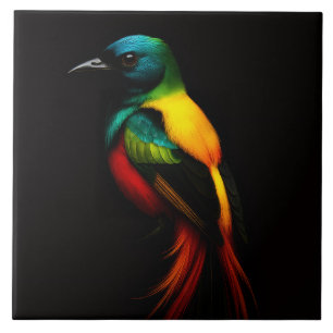 Zwarte 4 Luxe Tegel met Rainbow Tail Tropical Bird Tegeltje