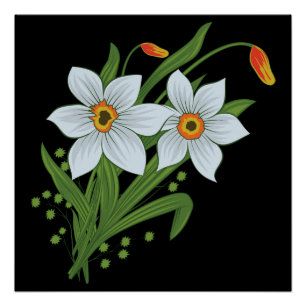Zwarte achtergrond Tulpen en Daffodils Flowers Perfect Poster