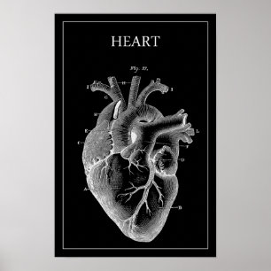 ZWARTE ANATOMISCHE HART POSTER