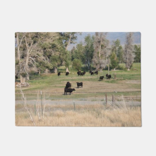 Zwarte Angus in de Pasture Deurmat (Voorkant)