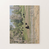 Zwarte Angus in de Pasture Legpuzzel (Verticaal)