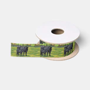 Zwarte Angus-Koe en Cute Calf in zomerperiode Lint