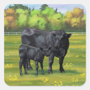 Zwarte Angus-Koe en Cute Calf in zomerperiode Vierkante Sticker