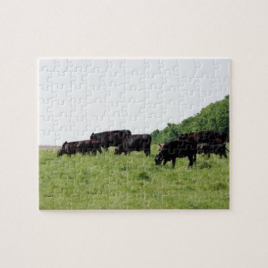 Zwarte Angus Legpuzzel (Horizontaal)