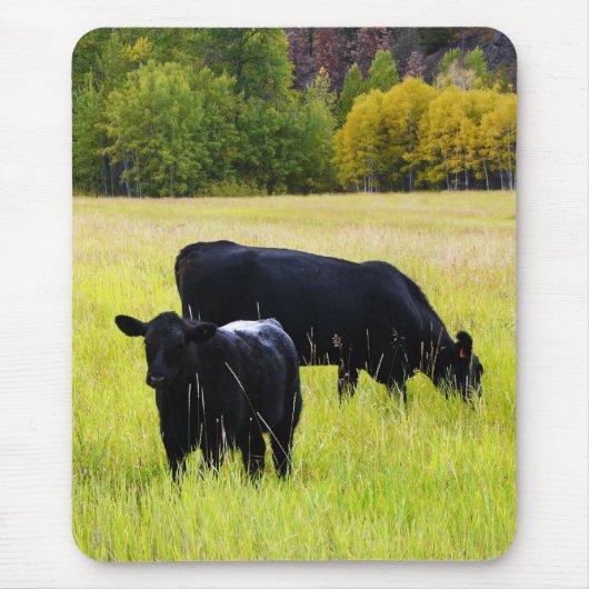 Zwarte Angus Pair in Field Muismat (Voorkant)
