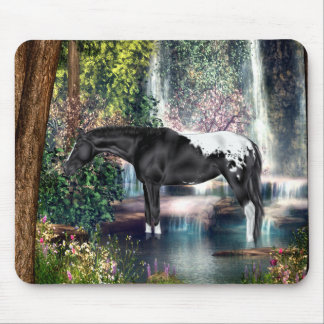 Zwarte Appaloosa Horse Waterfall Background Muismat