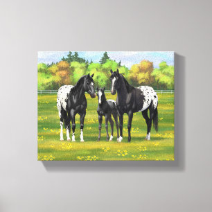 Zwarte appaloosa-paarden in de zomerperiode canvas afdruk