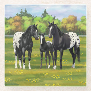 Zwarte appaloosa-paarden in de zomerperiode glazen onderzetter