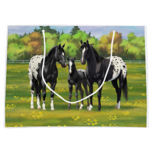 Zwarte appaloosa-paarden in de zomerperiode groot cadeauzakje