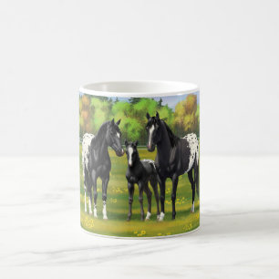 Zwarte appaloosa-paarden in de zomerperiode koffiemok