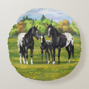 Zwarte appaloosa-paarden in de zomerperiode rond kussen