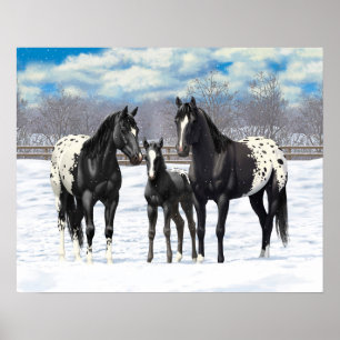 zwarte appaloosa-paarden in sneeuw poster