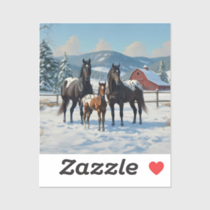 Zwarte Appaloosa paarden op een Boerderij in de wi Sticker