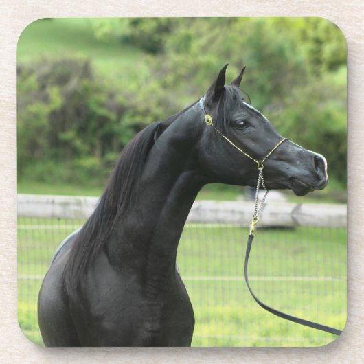 Zwarte arabisch op onderzetters (Voorkant)