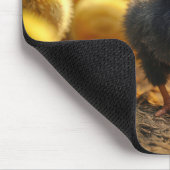 Zwarte Baby chick in een schuur Muismat (Hoek)