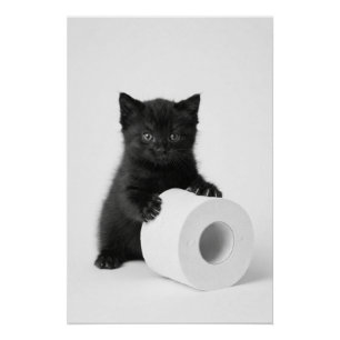 Zwarte babykat beschermt rol toiletpapier perfect poster