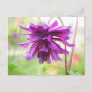 Zwarte Barlow Columbine Briefkaart